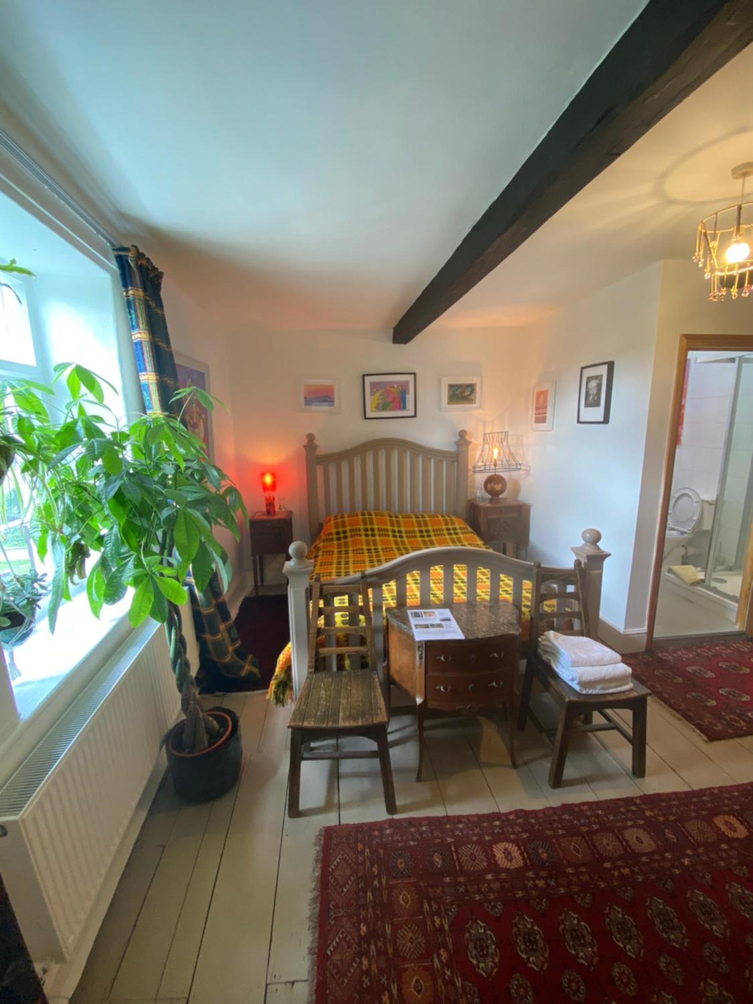 Art House B & B Raglan Bilik gambar
